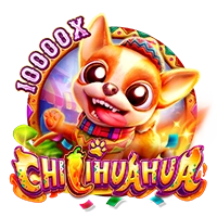 Facai : CHILIHUAHUA - QUEENBET138