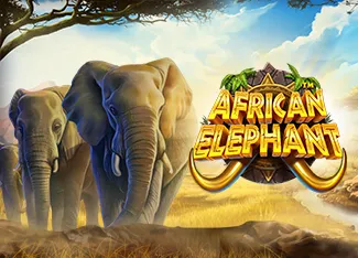 Pragmatic : African Elephant - QUEENBET138